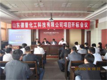 山东德普化工科技有限公司项目